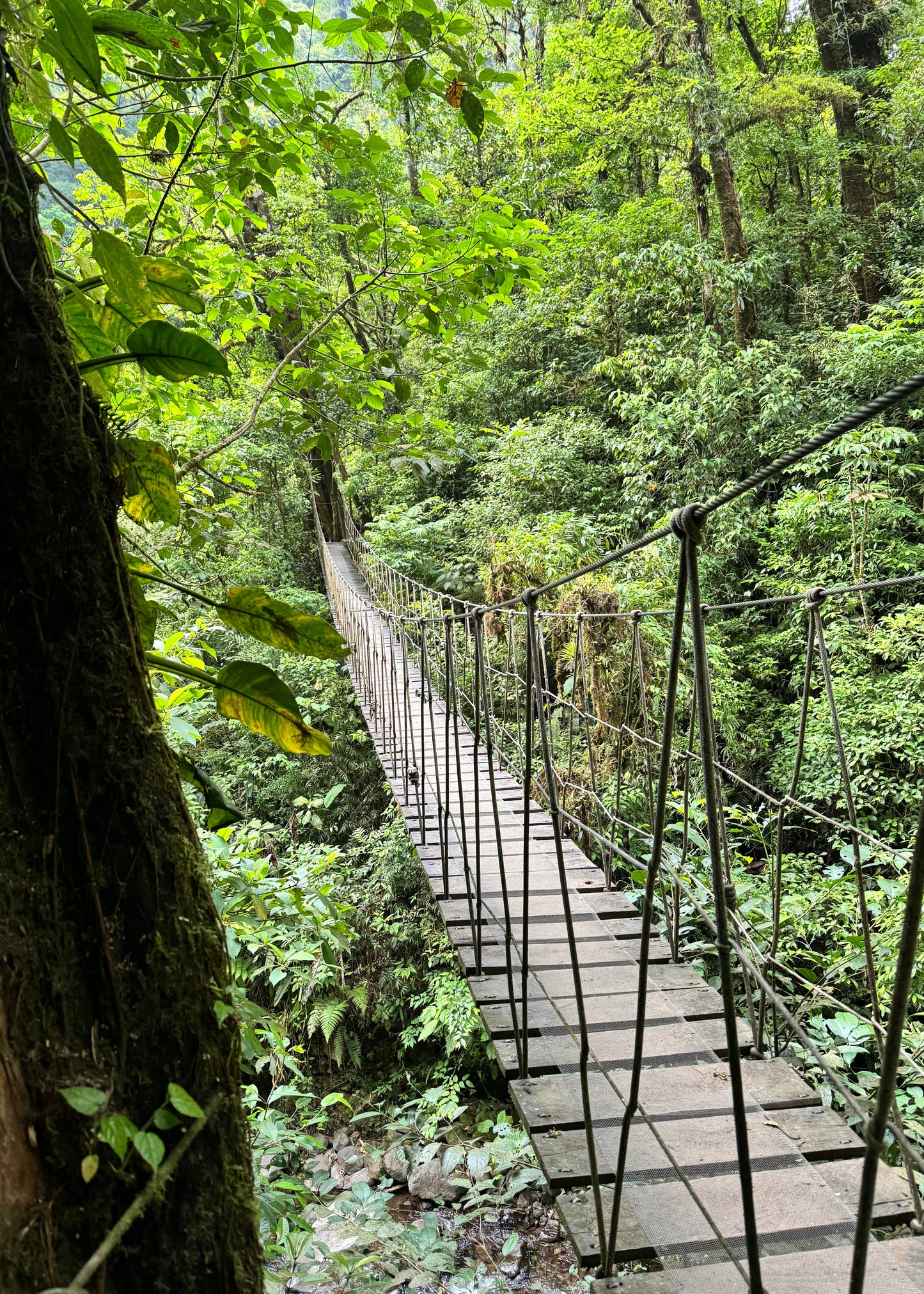 Costa Rica Itinerary (7 Days)