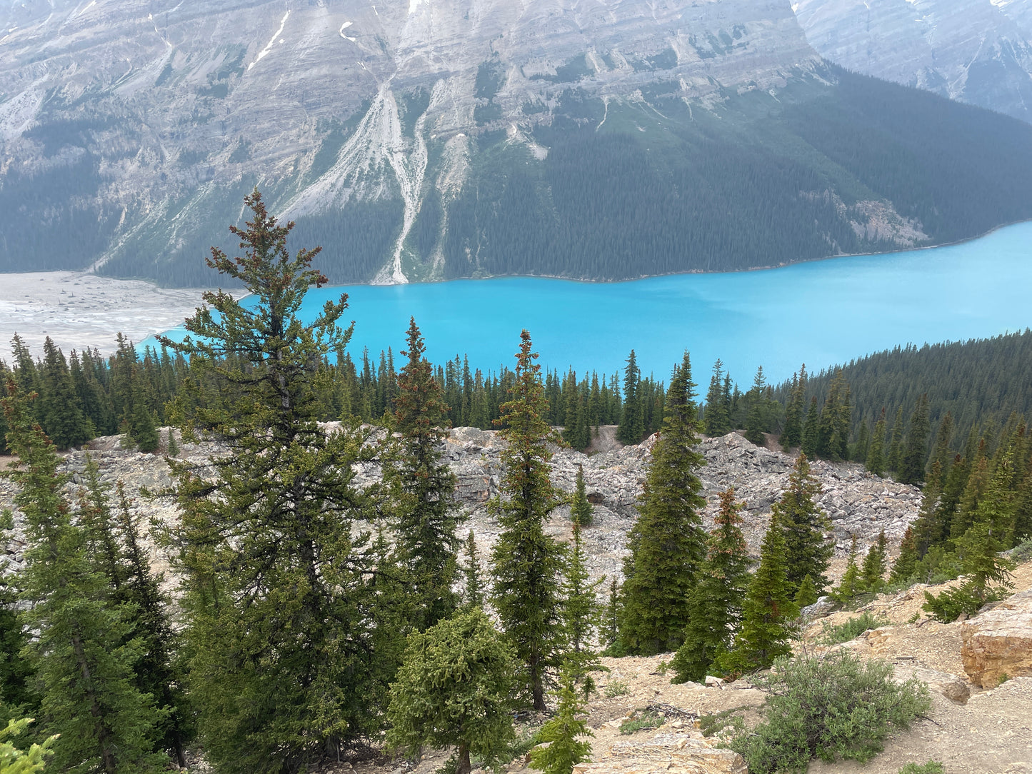 Banff Travel Guide (7 Days)