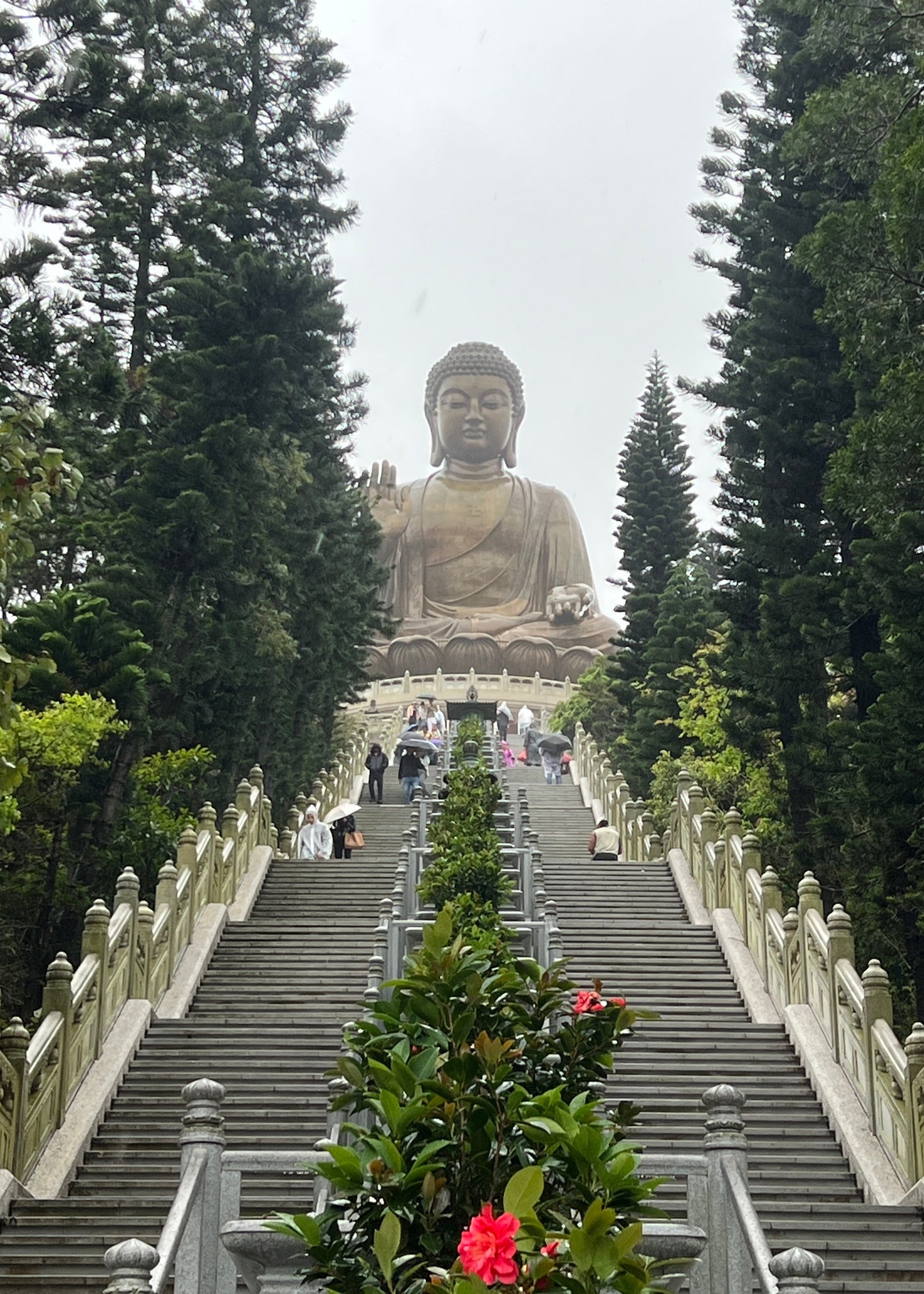 Hong Kong Travel Guide (4 Days)