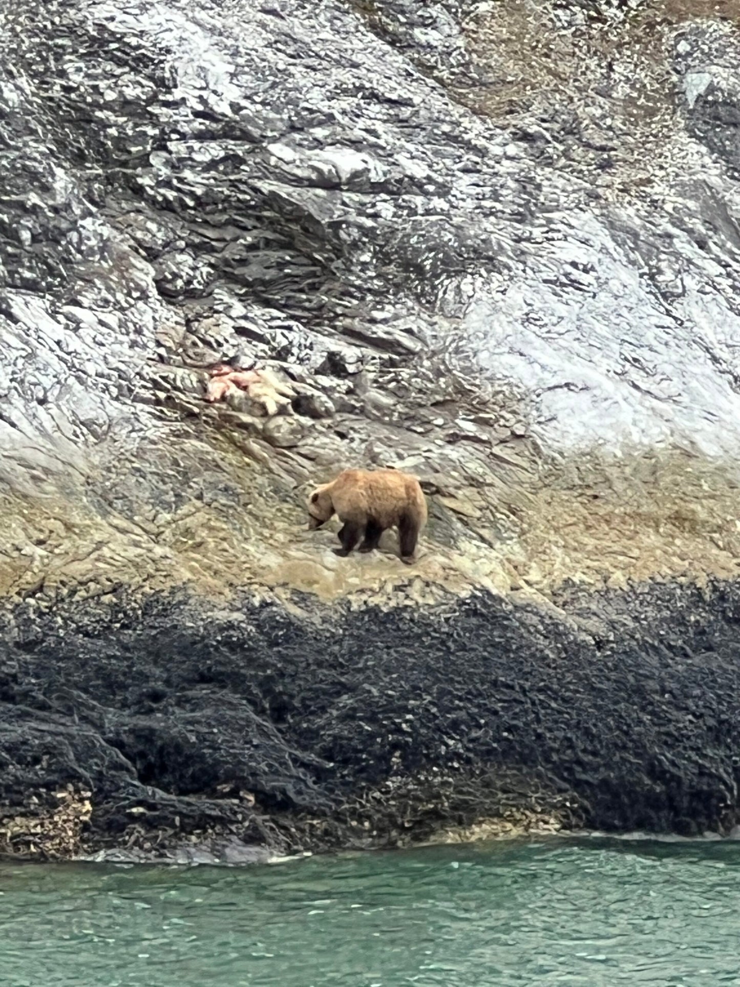 2 Day Glacier Bay Itinerary