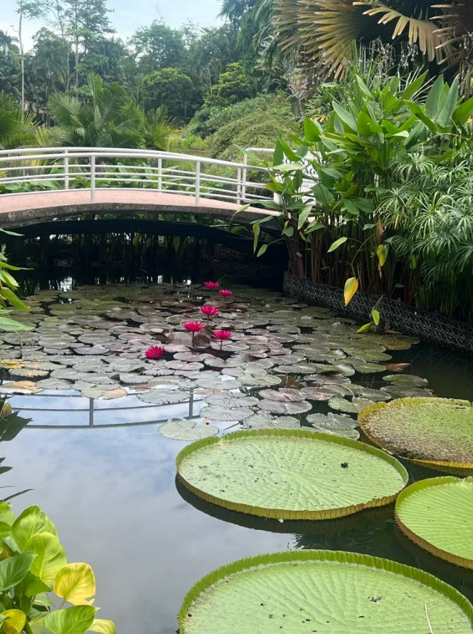 Singapore Itinerary (2 Days)