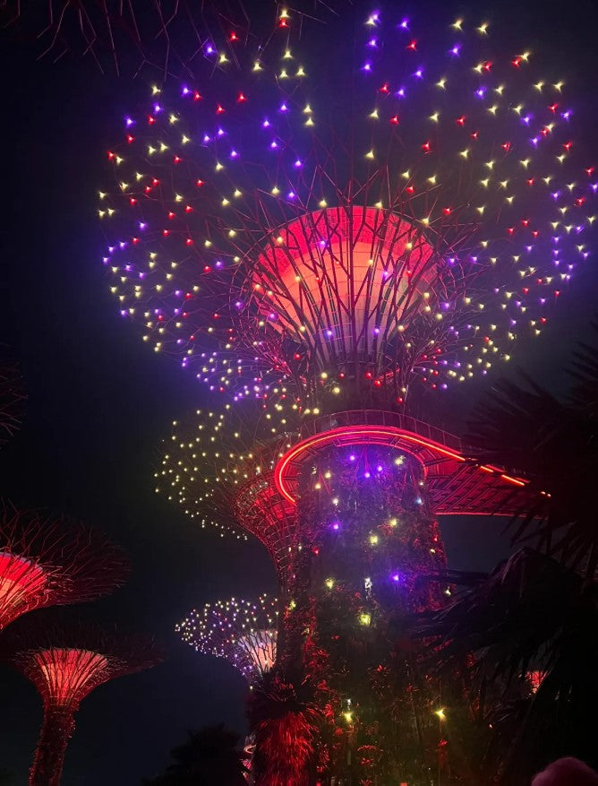 Singapore Itinerary (2 Days)