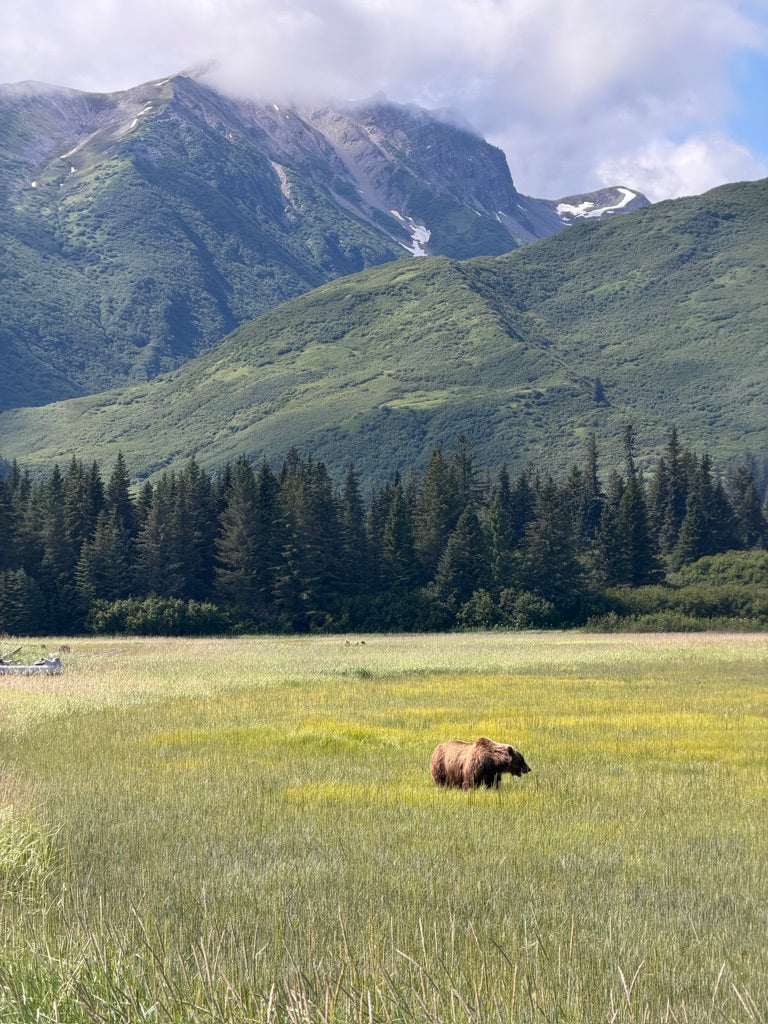 Lake Clark National Park Visitors Guide