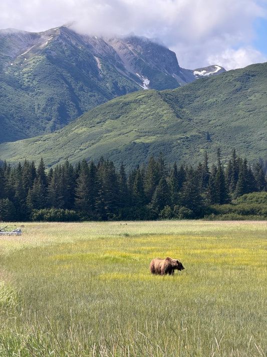 Lake Clark National Park Visitors Guide
