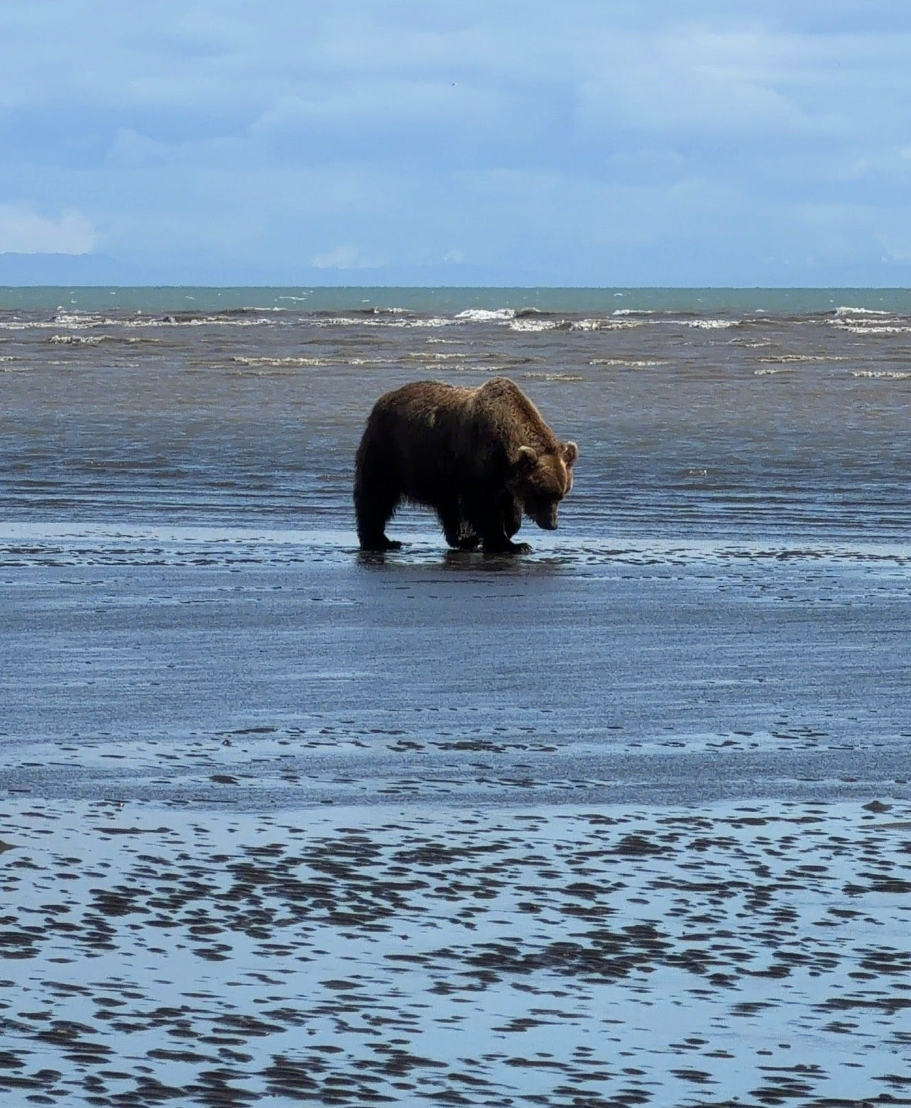 Lake Clark National Park Visitors Guide