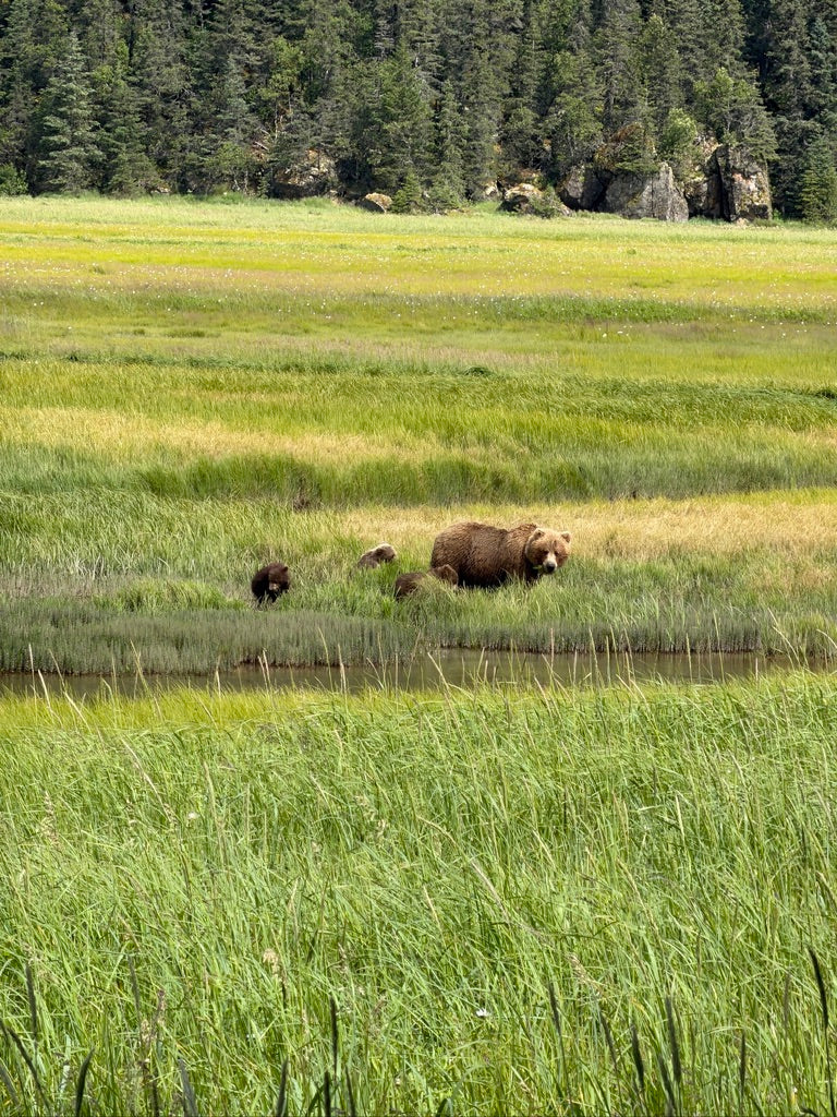 Lake Clark National Park Visitors Guide