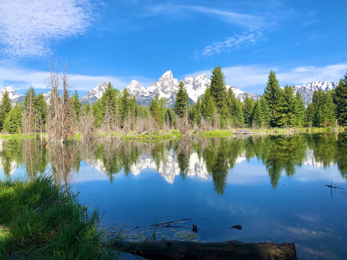 7 Day Grand Teton and Yellowstone Itinerary