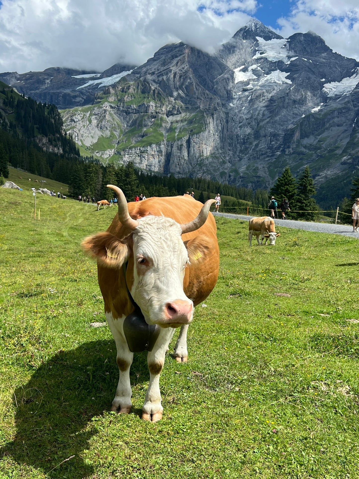 4 Day Interlaken Switzerland Itinerary