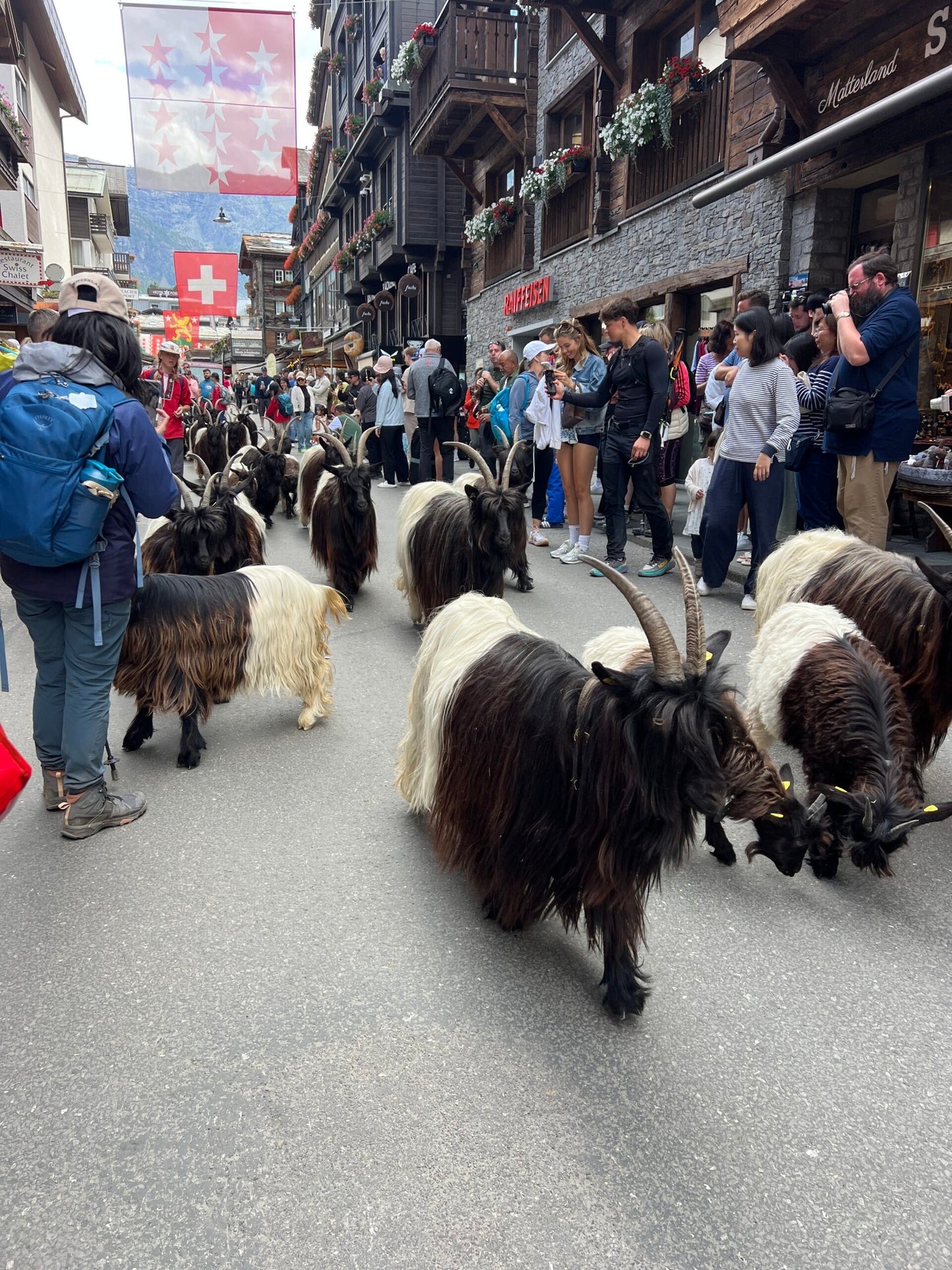 2 Day Zermatt Itinerary