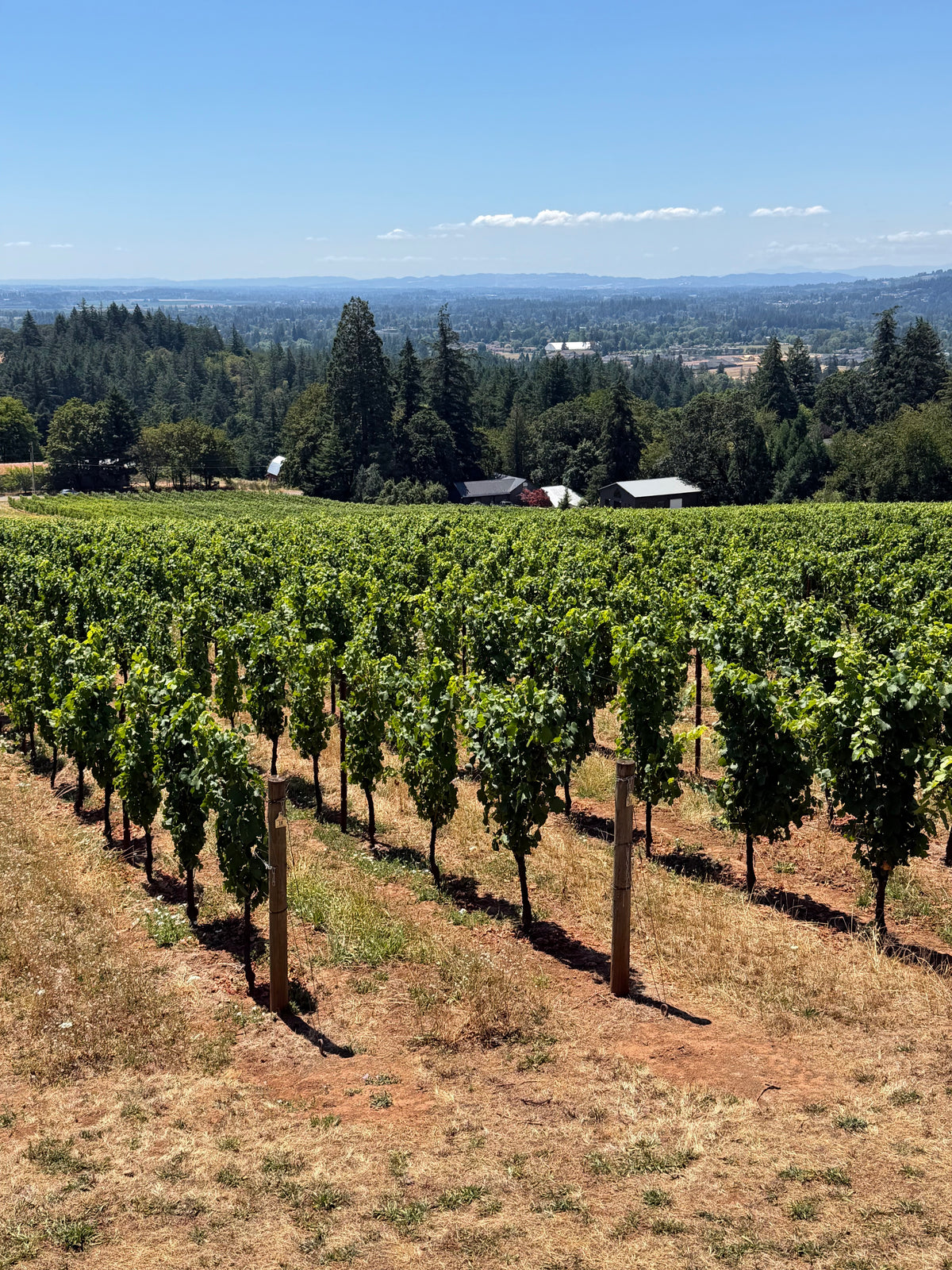 Willamette Valley Wine Itinerary (5 Days)