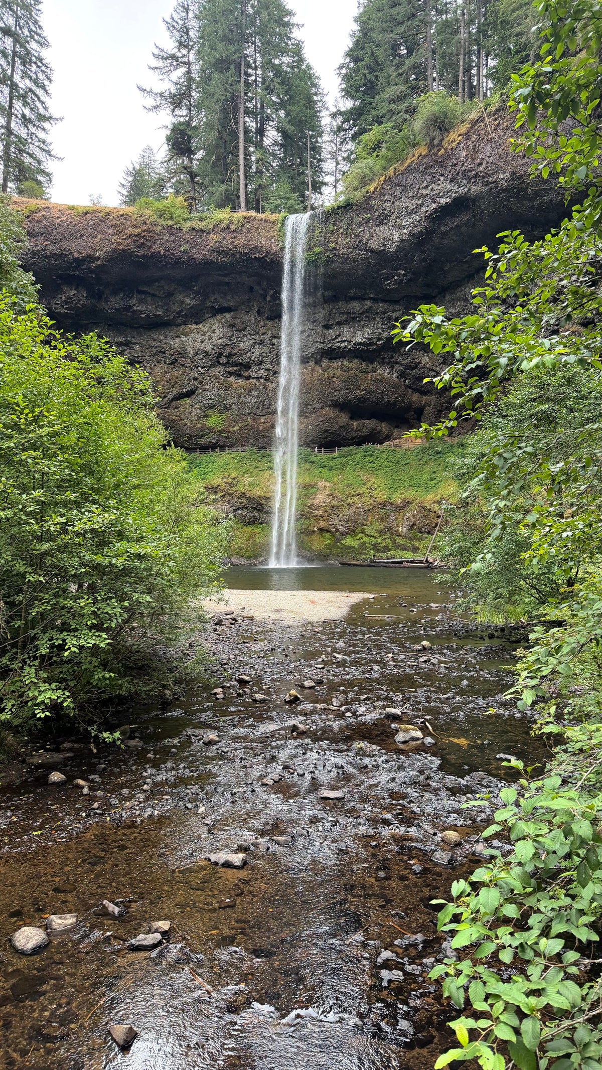 Willamette Valley Wine Itinerary (5 Days)
