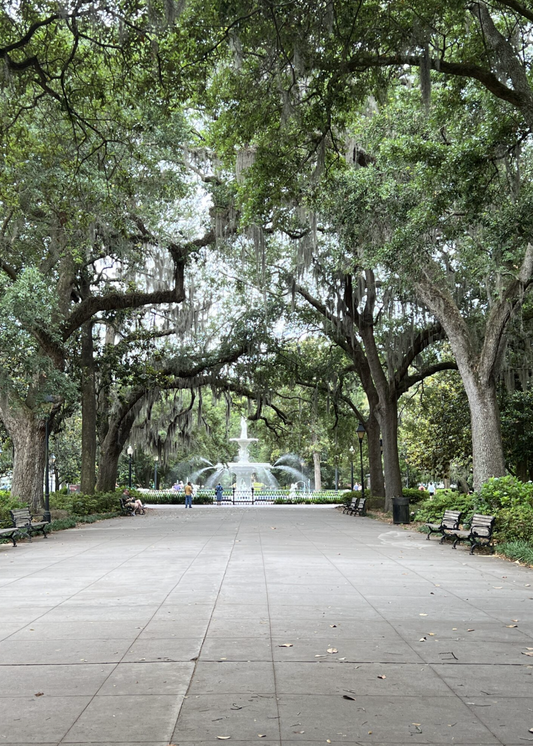 Savannah Itinerary (2 days)