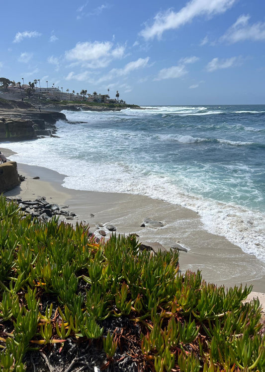 San Diego Itinerary (3 Days)