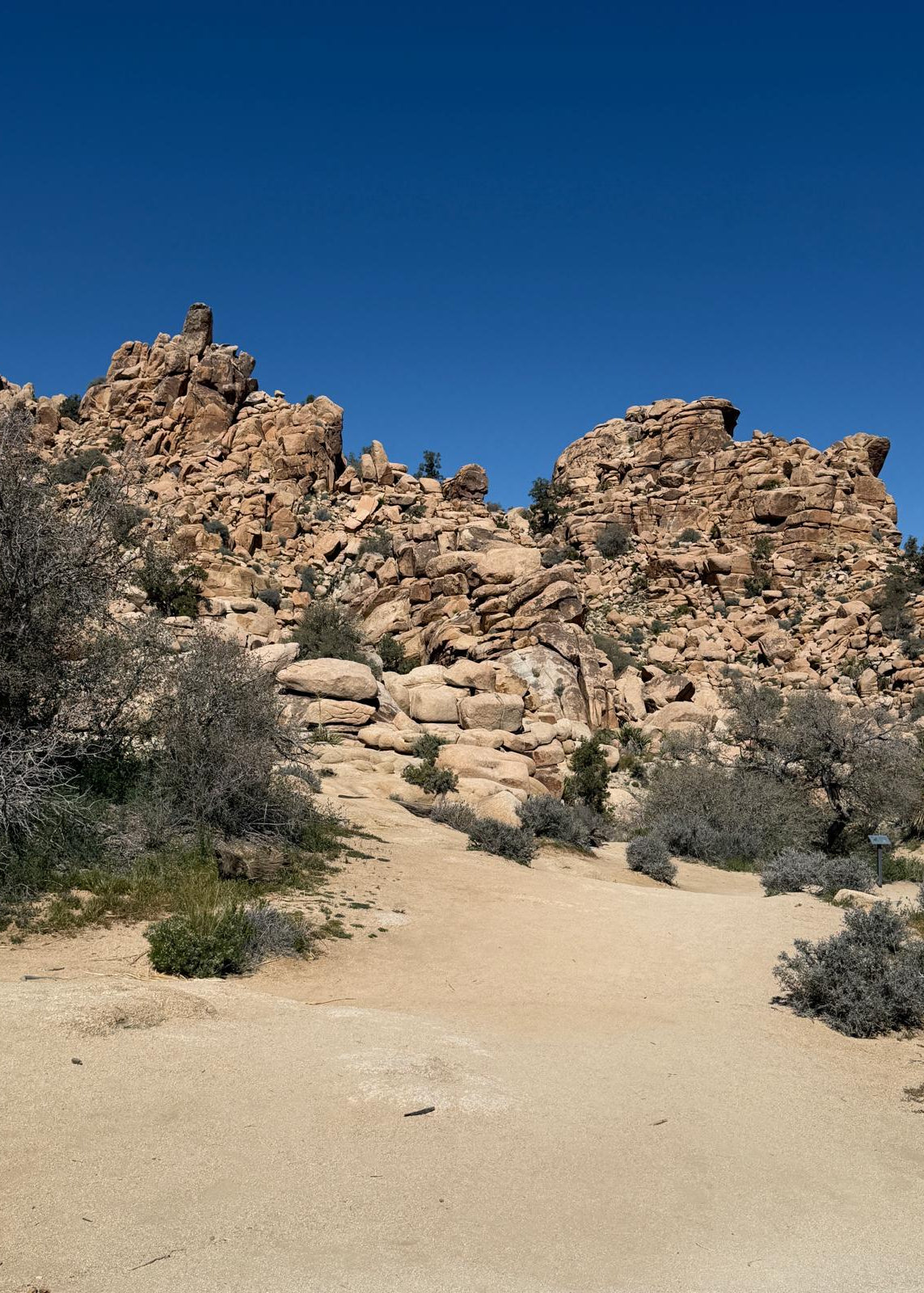 Joshua Tree National Park Itinerary (2 days)