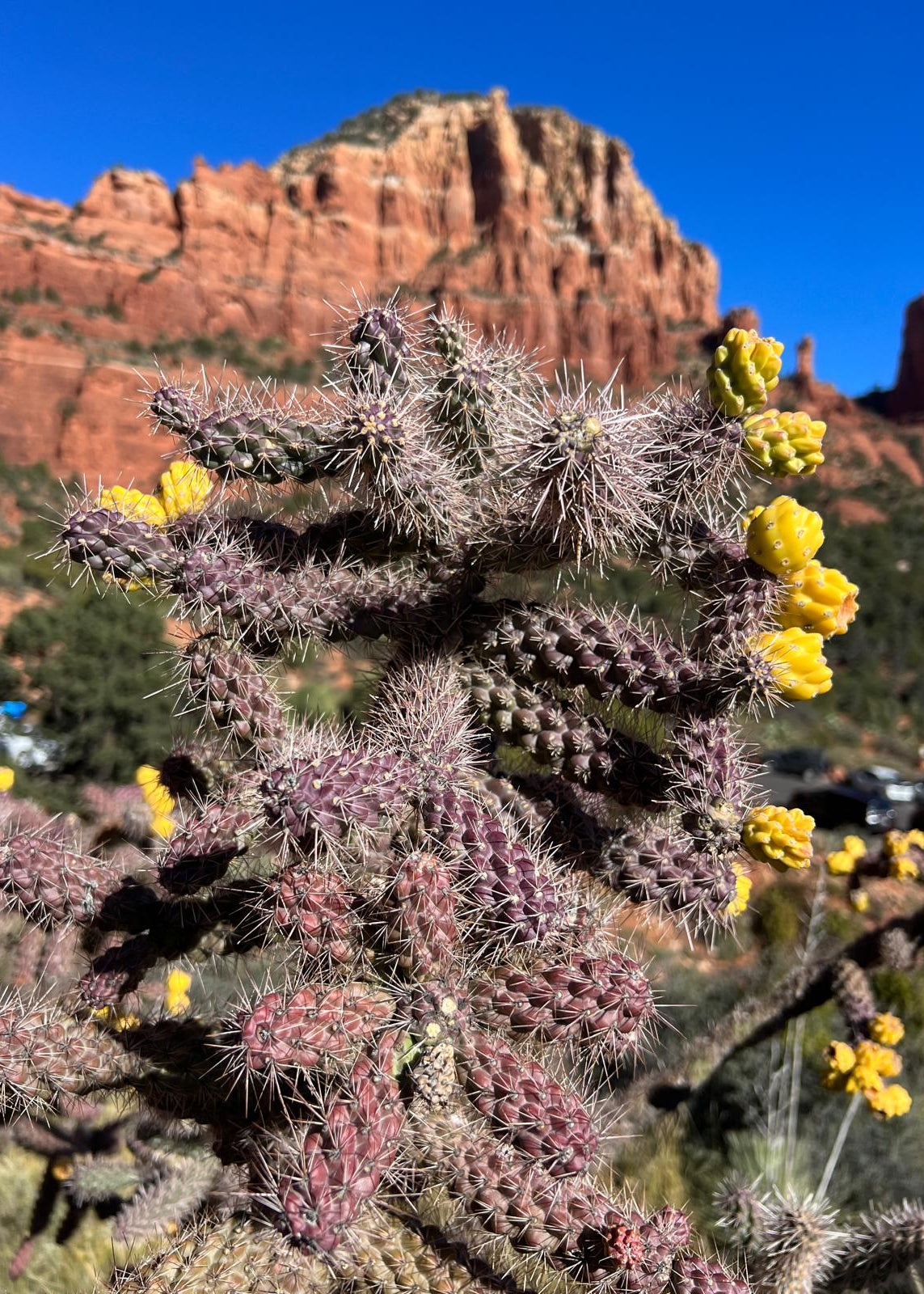 Sedona Hiking & Travel Itinerary (3 Days)