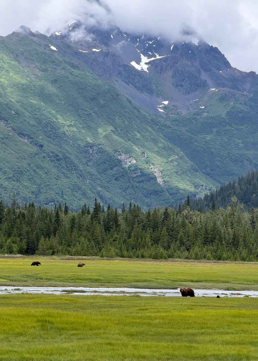 Three Alaska National Parks Itinerary (6 Days)
