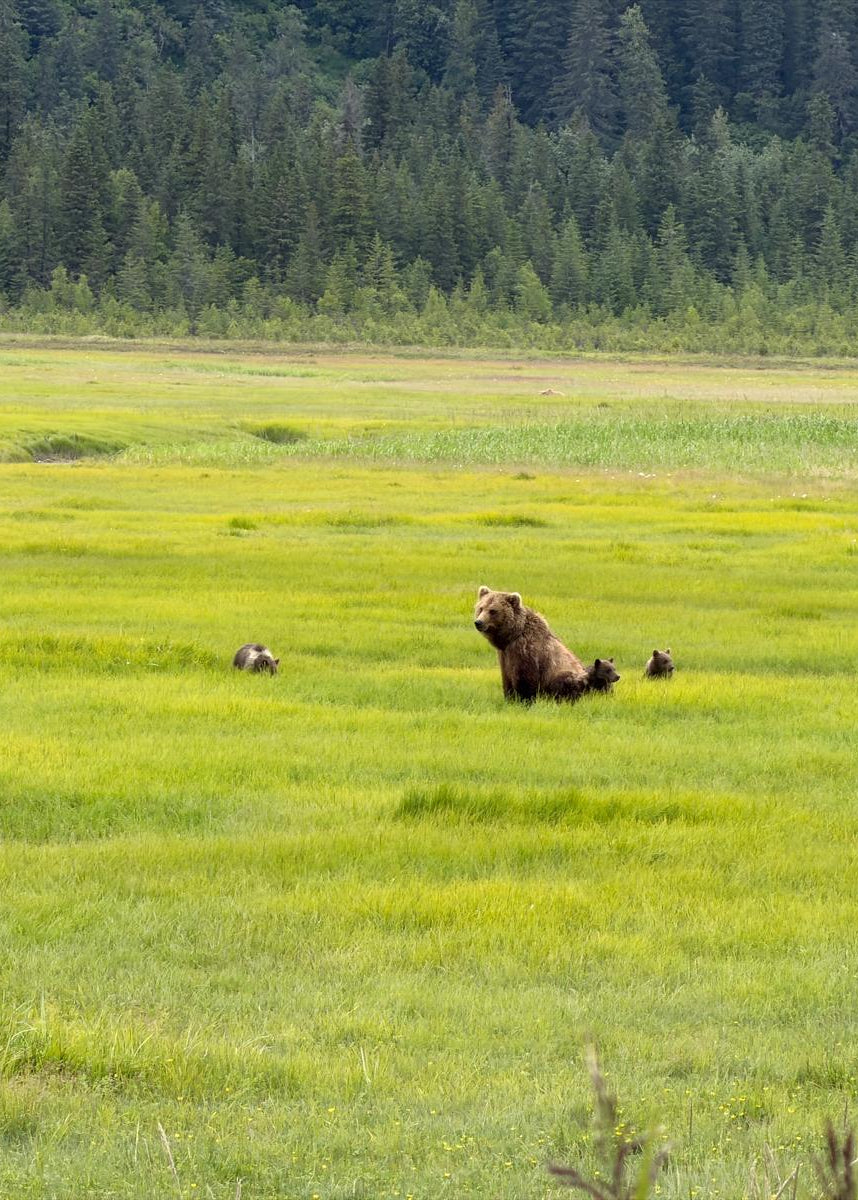 Lake Clark National Park Visitors Guide