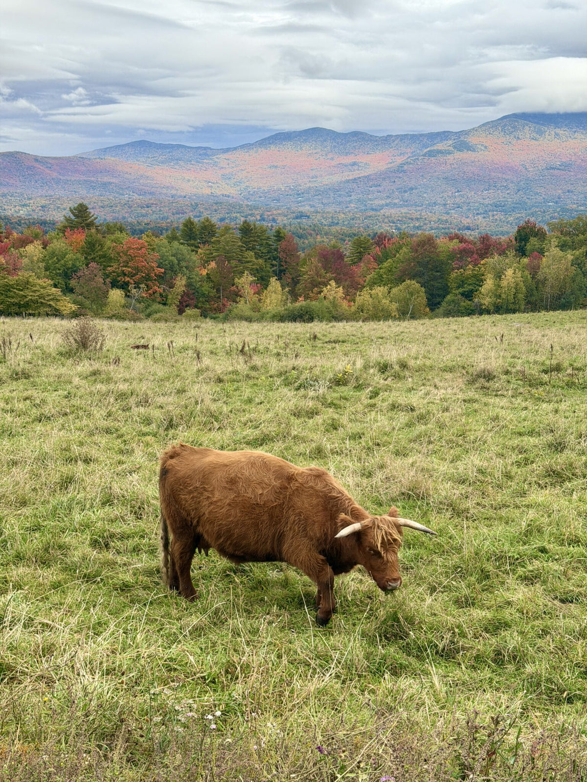 Vermont in the Fall Itinerary - Stowe & Burlington (4 Days)